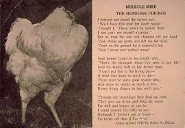 For any iq definition, how do you measure it? The Chicken That Lived For 18 Months Without A Head Bbc News