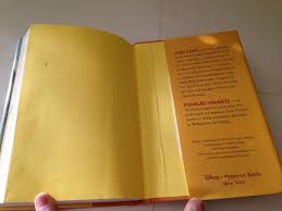 Super Chicken Nugget Boy and The Furious Fry