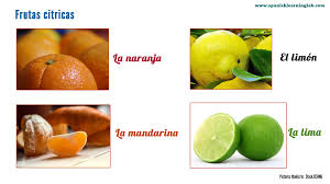 Some Common Names Of Citrus Fruits In Spanish Including La Naranja El Limon La Mandarina Y La Lima This Picture Is Learning Spanish Spanish Spanish Lessons