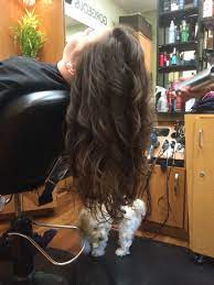 My Hair From 5th Grade Graduation 5th Grade Graduation Long Hair Styles Hair