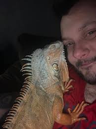 An animal charity has said it can...