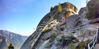 The lodge offers 21 hotel rooms, a snack bar, market, and gift shop. Spotlight Sequoia Kings Canyon National Parks Visit California