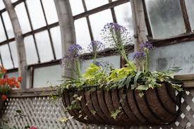 Maybe you would like to learn more about one of these? Lincoln Park Conservatory Chicago Homestead Brooklyn