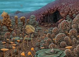 Image result for Exotheca