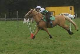 Pony Games Mga Equipment Ireland