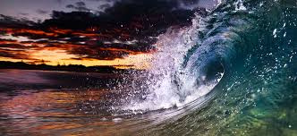 191 ülkedeki yerel ev sahipleriyle birlikte kalmak için benzersiz yerler bulun. Shane Chalker Photography Shoreline Runner Tuncurry Beach