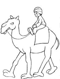 Camels Carries Arabic Man Coloring Page Coloringplus Com Coloring Pages For Kids Animal Coloring Pages Fruit Coloring Pages