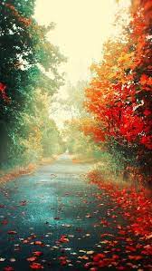 Beautiful Trees In Autumn A1 Pictures Fall Wallpaper Nature Wallpaper Stunning Wallpapers