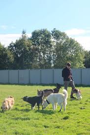 Profile for D&B Pet Services