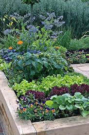 Crazy Raised Bed Japanese Garden To Refresh Your Garden Small Vegetable Gardens Fruit Garden Layout Vegetable Garden Design