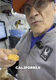 Erick Fredonia Pred Bush