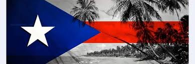 Pin By Raymond Perez On Flagz In 2020 Puerto Rico Puerto Puerto Ricans