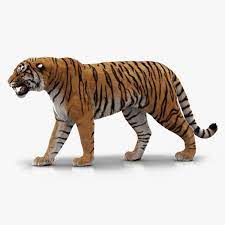 We did not find results for: Modelo 3d Tigre De Bengala Fur Animado Turbosquid 1481168