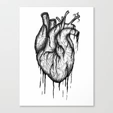 Throwing rocks at a window / stumble into a telphone pole / while the light shines down on your person / filtering through all your aversions / love will not. Bleeding Heart A3 Ink Illustration Canvas Print By Posner Studios Society6