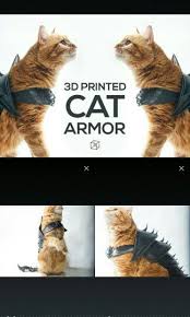 3d Yazdirilmis Kedi Zirhi Gladyator Kedi Kedi Instagram