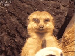 The body can actually contain a vast sexual energy, and when this sexual energy is built up and held in the genitals, release. When You In Post Orgasmic Bliss But She Still Suckin Gif On Imgur