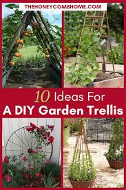 10 Diy Garden Trellis Ideas Diy Garden Trellis Garden Trellis Diy Trellis