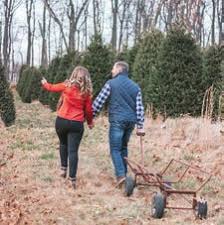 HUNTING FOR CHESTNUT HILL'S SIGNATURE TREE FACE TO FACE MARKS 40 YEARS OF  CARING JAZZ FINDS A HOME IN NORTHWEST PHILLY YOUR GU