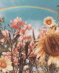 See more ideas about aesthetic wallpapers, aesthetic iphone wallpaper, photo wall collage. Aesthetic Boho Summer Desktop Wallpaper