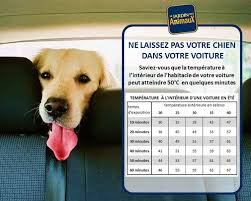 Située dans le finistère, au cœur de la commune de bénodet, à quelques pas de la plage, la clinique les glénan est un établissement de soins de suite et de réadaptation (ssr) polyvalents et à orientation gériatrique. Cabinet Veterinaire De L Odet Home Facebook