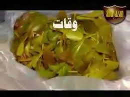 مضحك يمني شعر شايب ترفيه غزل about press copyright contact us creators advertise developers terms privacy policy & safety how youtube works test new features © 2020 google llc Ø´Ø¹Ø± ØªÙ‡Ø§Ù…ÙŠ Ø¨Ø·Ø±ÙŠÙ‚Ø© Ù…Ø¶Ø­ÙƒØ© Ø¹Ù† Ø§Ù„Ù‚Ø§Øª ÙˆØ£Ø¶Ø±Ø§Ø±Ù‡ Youtube