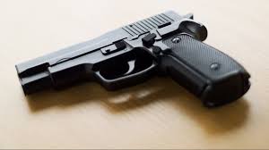 Image result for gun