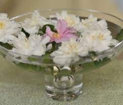 These Stunning Camellia Bowls Are Great For Floating Any Blossom Mom Finds In Her Garden Or Travels Outdoors Camellia Charleston Australian Native Plants