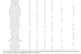 Image result for Uapaca sansibarica