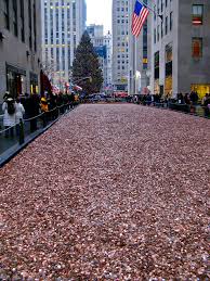 Million dollar spend up this activity is based on the picture book: 1 Million Pennies David Martin Flickr