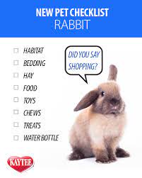 Pet Rabbit Shopping Checklist And Pet Parenting Tips For Your New Pet Bunny Care Tips Bunny Care Pet Bunny Rabbits