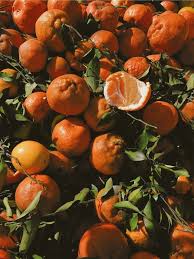 Did You Eat My Tangerines Vscox Academy Fruit Wallpaper Photography Orange Aesthetic Plant Aesthetic