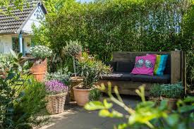 Mediterrane Pflanzen Fur Die Terrasse Der Kleine Horrorgarten In 2020 Mediterrane Pflanzen Terrasse Blumen Outdoor Dekorationen