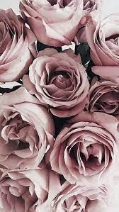 Tumblr iphone pink roses drawing wallpaper drawing. Rose Gold Tumblr Lockscreen Wallpaper Iphone 3d Wallpapers Roses Wallpaper Backgrounds Flower Wallpaper Flower Background Images