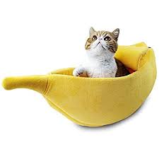 Your kitten's fur may be her most prominent feature until her personality emerges. Amazon Com Petgrow Cute Banana Cat Bed House Large Size Pet Bed Soft Warm Cat Cuddle Bed Lovely Pet Supplies For Cats Kittens Rabbit Small Dogs Bed Yellow Pet Supplies