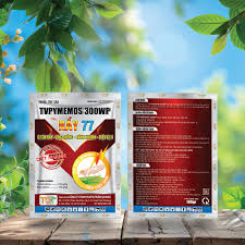 Tvpymemos 300WP