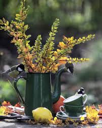 Dreamsgarden37 Jardin D Automne Jardins Feuillage