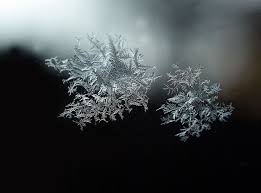 Hd Wallpaper Crystal Ice Flake Snow Cold Crystals Gel Nature Frost Wallpaper Flare Tons of awesome frost wallpapers to download for free. hd wallpaper crystal ice flake snow