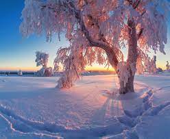 Зима красивые фото