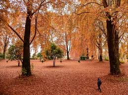 Use these pictures as part of a gift or even make a card out of them! Nature Photos That Will Change The Way You See The World