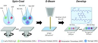 (redirected from electron beam lithography). Electron Beam Lithography Of Poly Glycidol Nanogels For Immobilization Of A Three Enzyme Cascade Polymer Chemistry Rsc Publishing