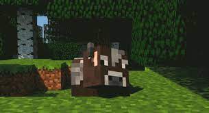 View, download, rate, and comment on 19 minecraft gifs. Free Download Minecraft Los Mejores Gif De Minecraft Ms De 50 Taringa 500x272 For Your Desktop Mobile Tablet Explore 49 Minecraft Wallpaper Gif Cool Wallpapers Minecraft Minecraft Animation Wallpaper Minecraft Wallpaper Pics