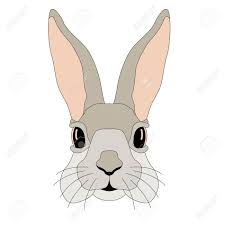 Check spelling or type a new query. Bunny Face Realistic Illustration Royalty Free Cliparts Vectors And Stock Illustration Image 56632158