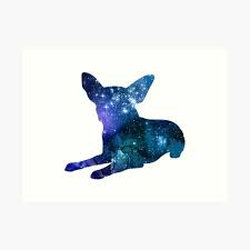 We did not find results for: Abstract Chihuahua Wall Art Redbubble