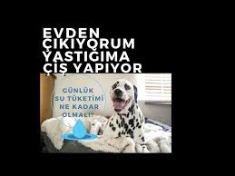 Ben Yokken Neden Yatagima Isiyor Youtube