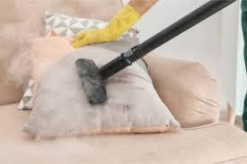 Check spelling or type a new query. Will Heat Treatment Kill Bed Bugs Bed Bugs Insider