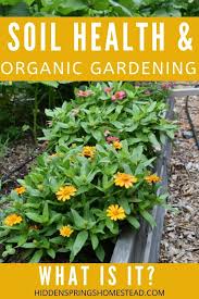 Soil Makes A Difference For A Healthy Garden Organic Soil Soil Health Organic Gardening Soil