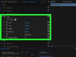 How to change video size in premiere pro not all media you import into your project will match the frame size of your sequence. How To Crop A Video In Adobe Premiere Pro 10 Steps