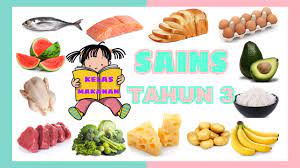 Aku baru berusia 18 tahun (sma kelas iii). Sains Tahun 3 Kelas Makanan By Cikgu Liza Youtube