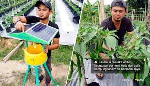 Check spelling or type a new query. Empat Graduan Ipt Nekad Berhenti Kerja Untuk Tanam Cili Jana Pendapatan Rm60 000 Islam Itu Indah