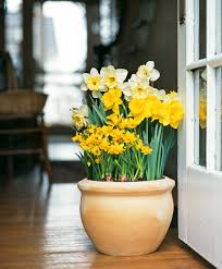 Bis 12 uhr bestellt, am nächsten werktag geliefert mit ihren entsorgungsprofis. Tips For Planting Your Favorite Bulbs Better Homes Gardens